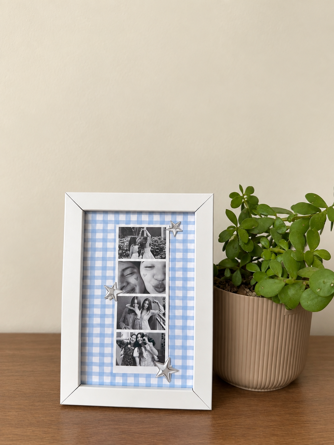 Strip photo frame